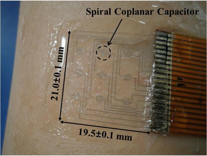 APL-Cho-goose bumps-resized.jpg